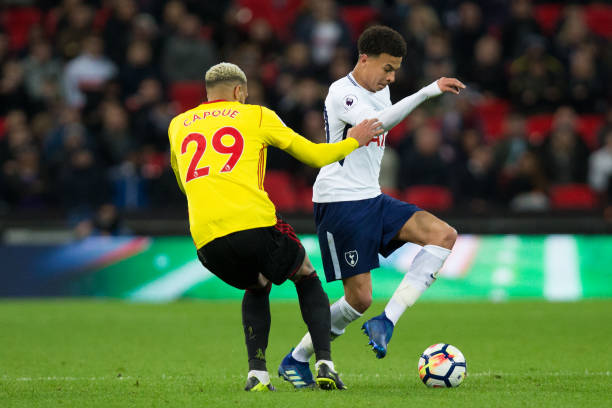 与新希望 与新希望